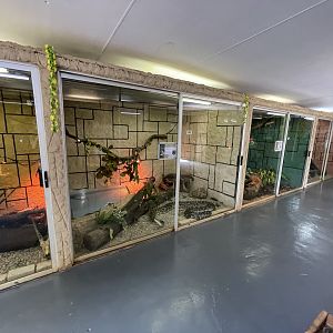 Reptile Hall