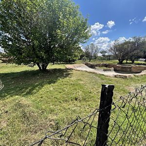 #2 Pygmy Hippo Enclosure (Choeropsis liberiensis)