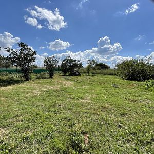 Southern Aardwolf Enclosure (Proteles cristata)