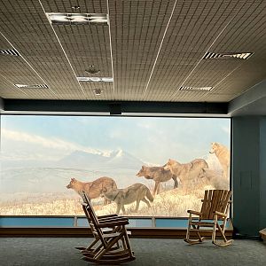 Wolf Diorama frozen in time