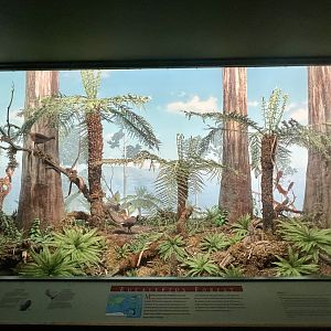 Eucalyptus Forest Diorama