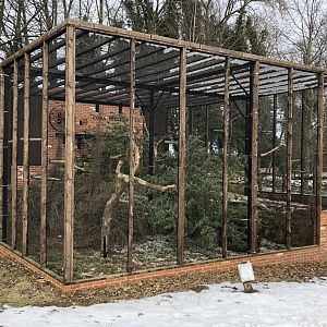 Macaw Kingdom (?) at Tropical Butterfly House (March 2023)