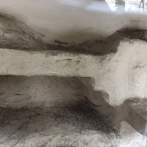 Indoor Meerkat/Porcupine Enclosure at Tropical Butterfly House (March 2023)