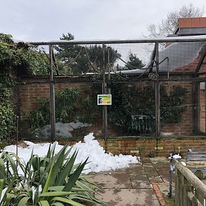 Emperor Tamarin Enclosure at Tropical Butterfly House (March 2023)