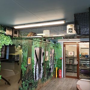 Inside the Small Animal House at Tropical Butterfly House (March 2023)