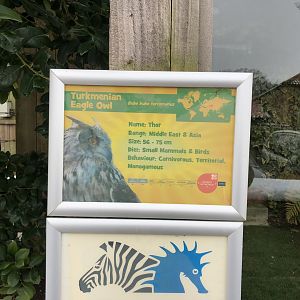 Signage Example (Turkmenian Eagle Owl) at Tropical Butterfly House (March 2023)