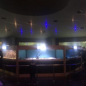 Keçiören Aquarium-First Hall