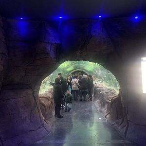 Keçiören Aquarium-Shark Tunnel Entrany