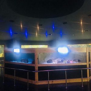 Keçiören Aquarium-First hall