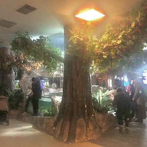 Keçiören Aquarium-Third Hall