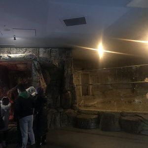 Keçiören Aquarium- Third Hall