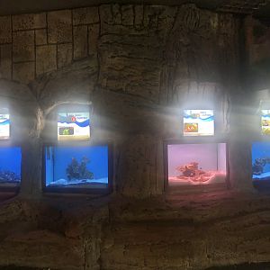 Keçiören Aquarium-Small tanks at Hall 3