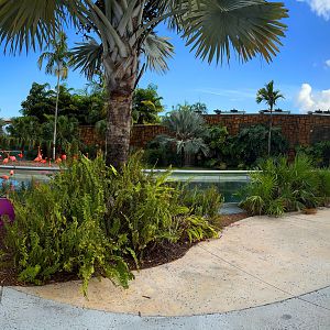 American Flamingo Exhibit