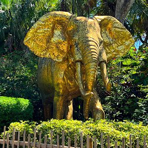 Golden Elephant Statue