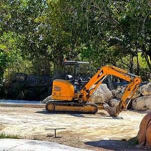 Indian Rhino Exhibit Under Construction