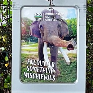 Encounter Something Mischevious Sign