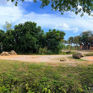 Asian Elephant Front Exhibit