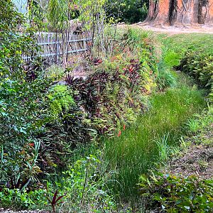 Asian Elephant Exhibit Moat