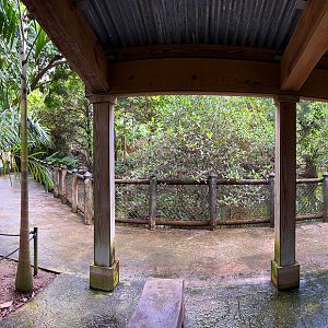 Wings of Asia Aviary Interior