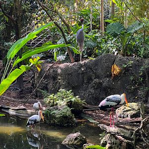 Heathcliffe & The Gang