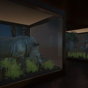Planet Zoo - Museum Habitat Groups