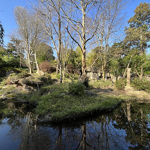 Red Ruffed Lemur Exhibit