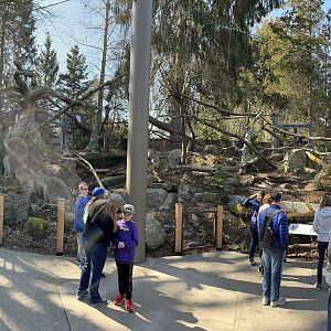 Canada Lynx Exhibit - New in 2022