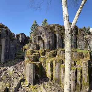 Rocky Mountain Goat Exhibit