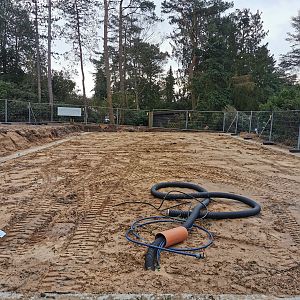 Update on new aviary (2)