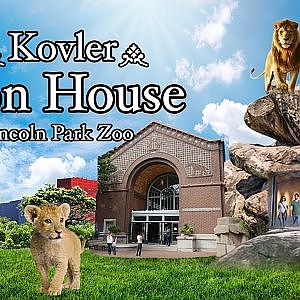 The Kovler Lion House | Lincoln Park Zoo | Ep. 24 of The Virtual Zoo