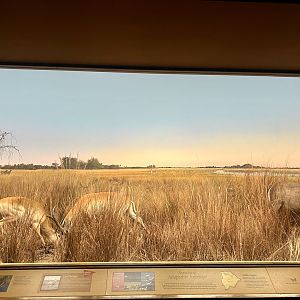 In the high grass - Marshlands Diorama
