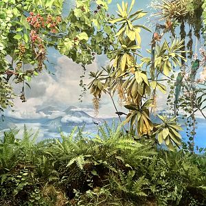 Lake Atitlan Guatemala Diorama