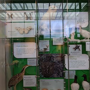 Natural History Museum