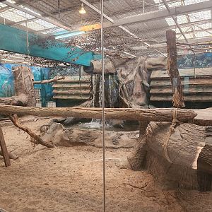 Cat-House Exhibit #1