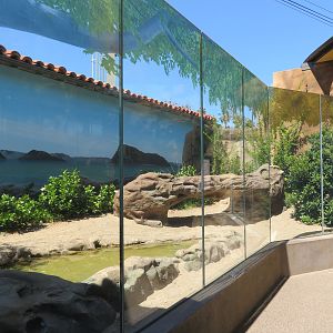 Komodo Dragon Exhibit
