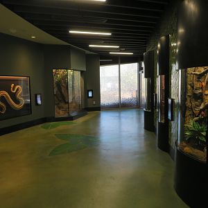 Cool Critters - Upper Floor