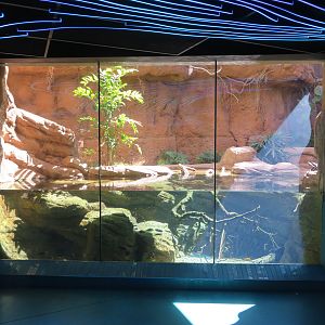 Dwarf Caiman/River Turtle Exhibit