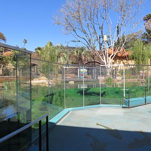 Cool Critters - Outdoor Turtle/Fish Pools