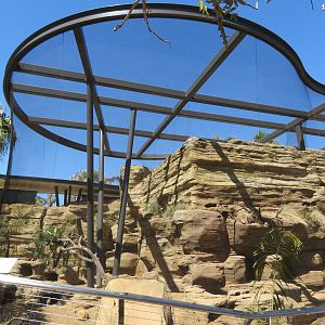 Burrowing Owl/Prairie Dog Exhibit