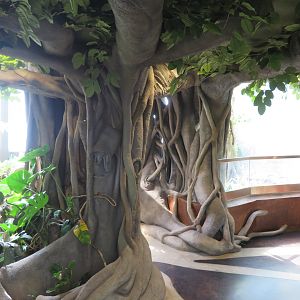 Entry Tree to Spineless Marvels