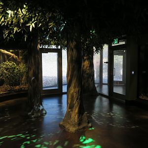 Spineless Marvels - Lower Floor (Arachnids)