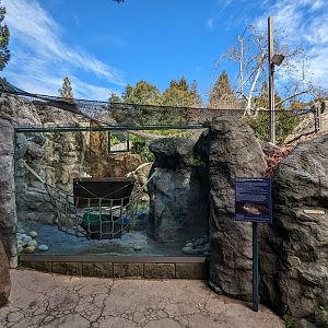 River otter viewing (exterior)