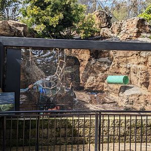 Bobcat enclosure (from exterior)