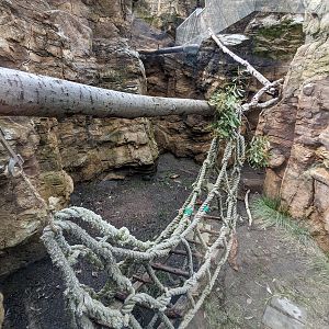 North American porcupine enclosure