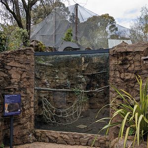 North American porcupine enclosure