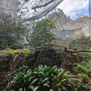 View into the aviary