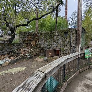 Sulcata tortoise yard