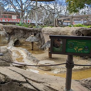 Guinea pig habitat (flooded)