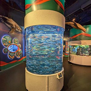 Entrance round aquarium