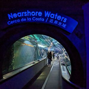 Nearshore Waters - tunnel entrance